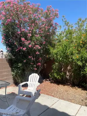 2760 Stargate Street Patio