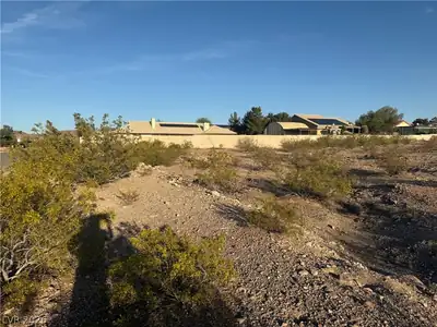 827 Dublin Avenue, Henderson, NV 89015 Yard