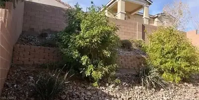 6541 Chinatown Street, Las Vegas, NV 89166 Yard