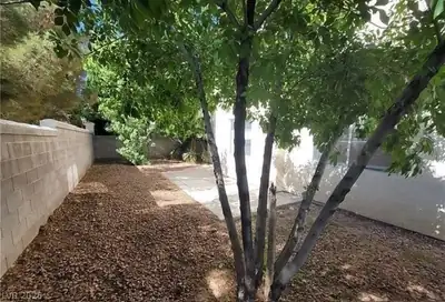 7817 Falconwing Avenue, Las Vegas, NV 89131 Yard