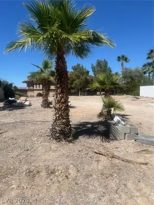 4 Rue Du Ville Way, Henderson, NV 89011 Yard