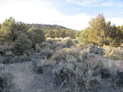 NV Hwy 322 (30.15 Ac) Pioche, NV 89043