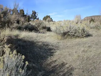 NV Hwy 322 (30.15 Ac) Other