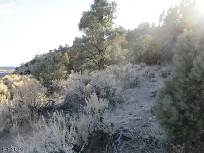 NV Hwy 322 (30.15 Ac) Other