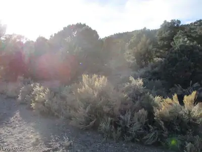 NV Hwy 322 (30.15 Ac) Other