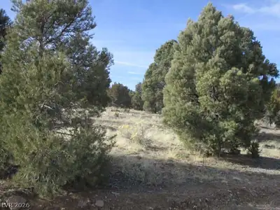 NV Hwy 322 (13.753 Ac) Pioche, NV 89043