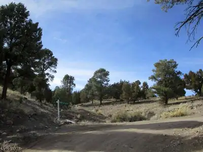NV Hwy 322 (13.753 Ac) Community
