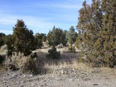 NV Hwy 322 (13.753 Ac) Other