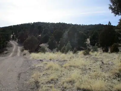 NV Hwy 322 (13.753 Ac) Other