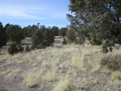 NV Hwy 322 (13.753 Ac) Other