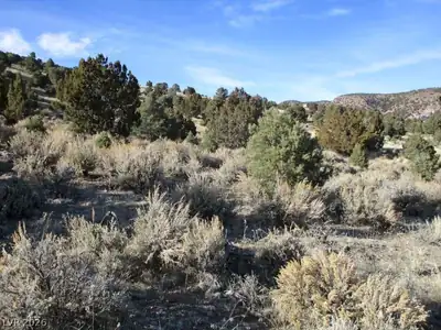 NV Hwy 322 (10.012 Ac) Pioche, NV 89043