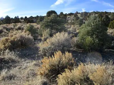 NV Hwy 322 (10.012 Ac) Other