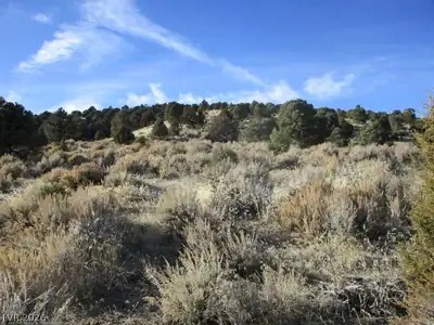 NV Hwy 322 (10.012 Ac) Other