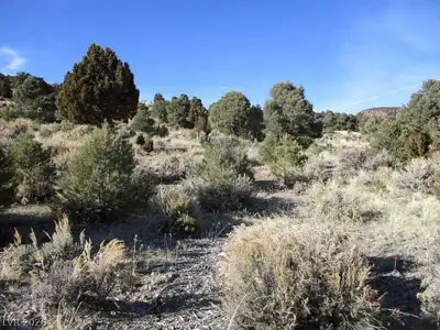 NV Hwy 322 (10.012 Ac) Other