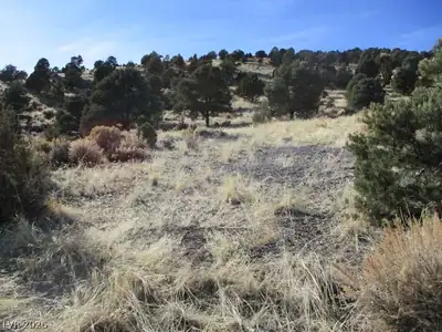 NV Hwy 322 (10.012 Ac) Other