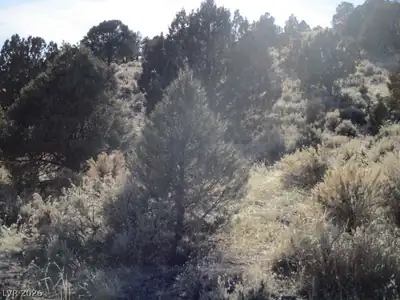 NV Hwy 322 (10.012 Ac) Other