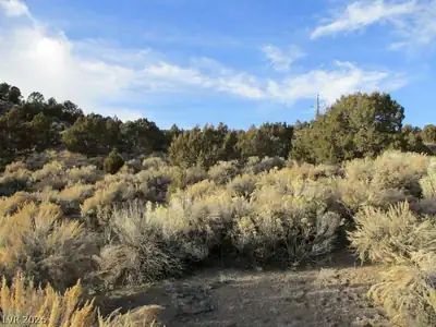 NV Hwy 322 (9.86 Ac) Pioche, NV 89043
