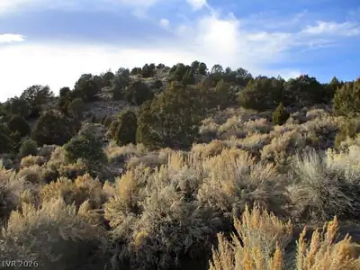 NV Hwy 322 (9.86 Ac) Other