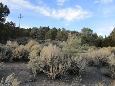 NV Hwy 322 (9.86 Ac) Other