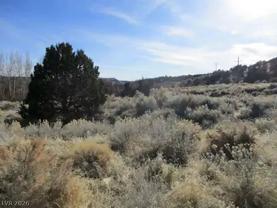 NV Hwy 322 (2.19 Ac) Other