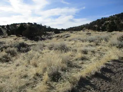 NV Hwy 322 (2.19 Ac) Other