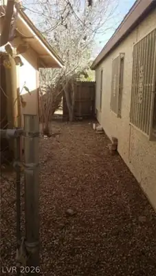 3711 Southern Light Drive, Las Vegas, NV 89115 Yard