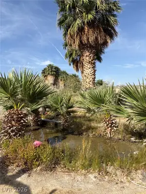 Gold Butte Road Other, NV 89007