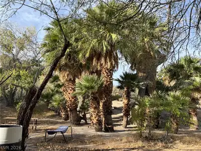 Gold Butte Road Garden