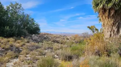 Gold Butte Road 