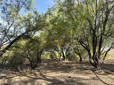 Gold Butte Road Garden