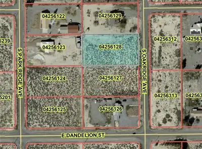 2910 Oakridge Avenue, Pahrump, NV 89048 Aerial View