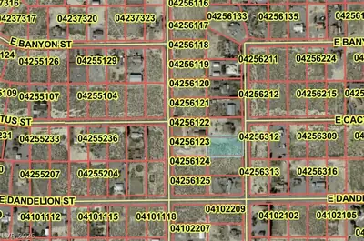 2910 Oakridge Avenue, Pahrump, NV 89048 Plat Map