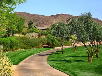 523 Rock Peak Drive, Henderson, NV 89012 Yard