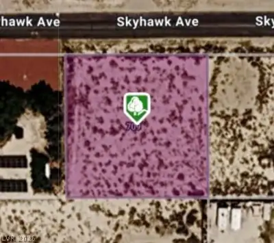 709 Skyhawk Avenue, Sandy Valley, NV 89019 Plat Map