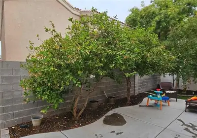 5901 Aimless Street, Henderson, NV 89011 Patio