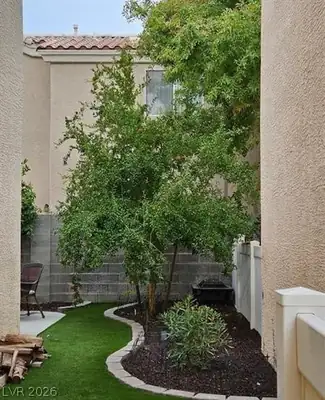 5901 Aimless Street, Henderson, NV 89011 Yard