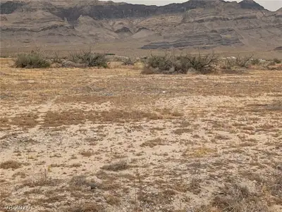 5900 North Fitzroy Avenue Pahrump, NV 89060