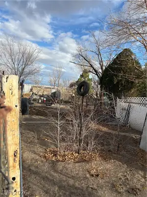95 Eureka Street, Other, NV 89311 Yard