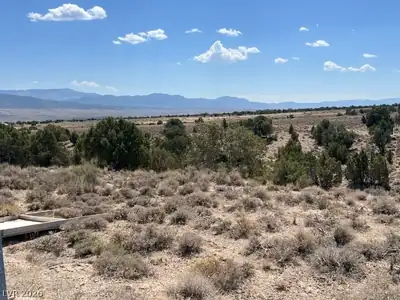 Pinyon Pine Ely, NV 89301