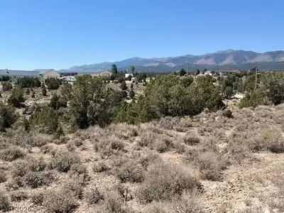 Pinyon Pine View