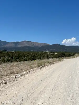 Pinyon Pine View