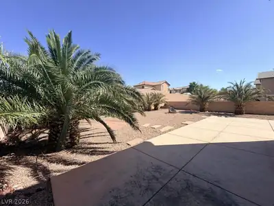5921 Tamarack Lodge Lane, North Las Vegas, NV 89081 Yard