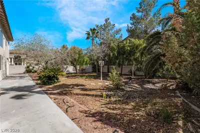 8901 Goldstone Avenue, Las Vegas, NV 89143 Yard