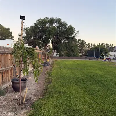 484 Michael Way, Alamo, NV 89001 Yard