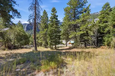 248 Crestview Drive, Mount Charleston, NV 89124 Lot