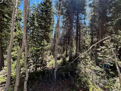 713 South Paintbrush Street Lot