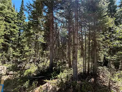 713 South Paintbrush Street Lot