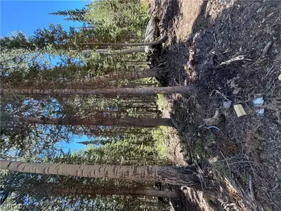 713 South Paintbrush Street Lot