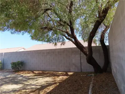3205 Wexford Hill Court, North Las Vegas, NV 89031 Yard