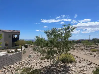 11593 Cedar Shore Avenue Yard